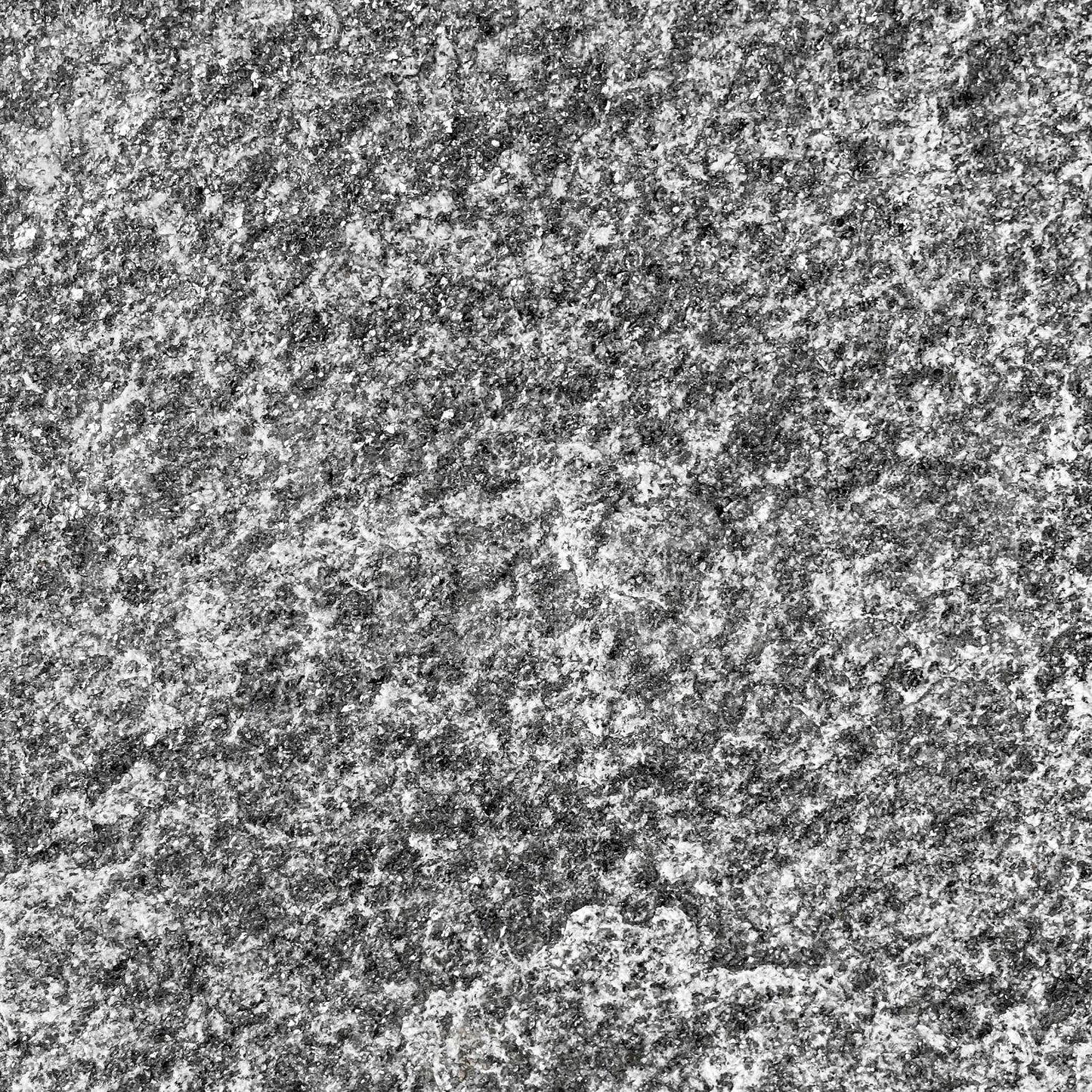 Dallage en Gneiss ALPINA WHITE # Longueur variable x 40 x 3-5 cm