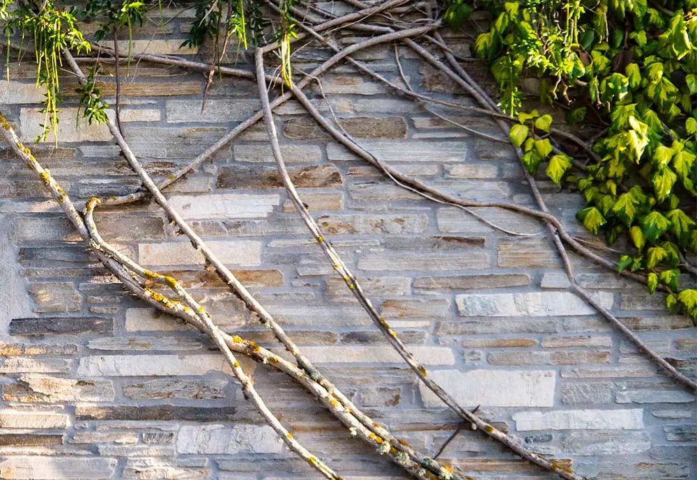 Moellon brut en QUARTZITE ADRIATICO MIX - Minéral Pierre Naturelle