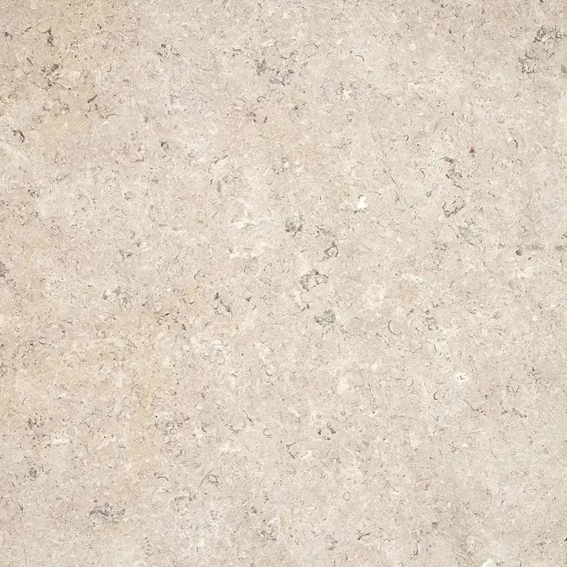 Pas japonais en pierre calcaire Sinai Pearl, 60 x 40 x 3, finition vieillie - texture zoom