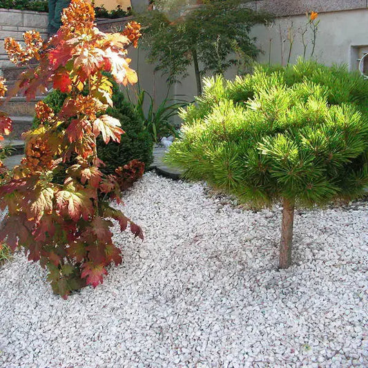 Gravier concassé en pierre CALCAIRE CLAIRE - 6/14 mm - Minéral Pierre Naturelle