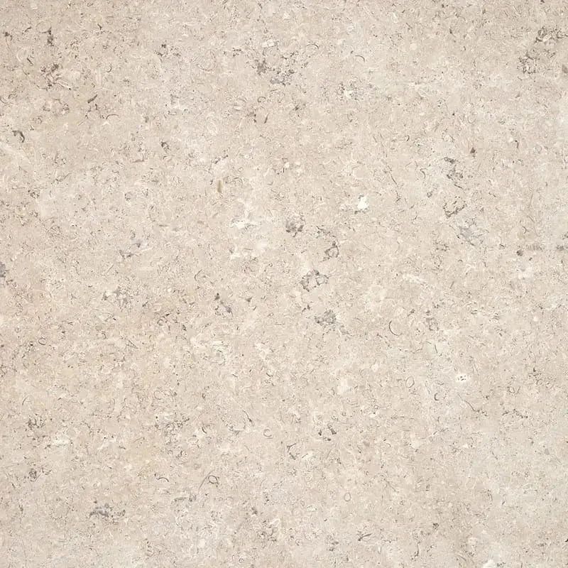 Margelle de piscine en Calcaire SINAI PEARL  60x30x3 cm chant 1/2 rond - zoom texture