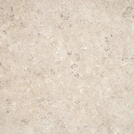 Margelle de piscine en Calcaire SINAI PEARL 60x30x3 cm chant 1/2 rond - zoom texture