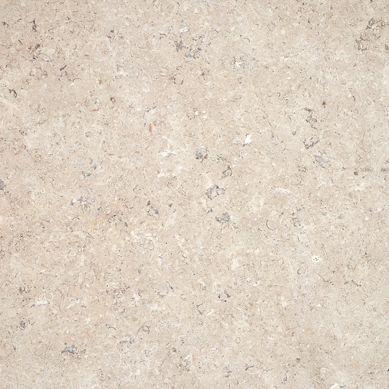 Pas japonais en pierre calcaire Sinai Pearl, 60 x 40 x 3, finition vieillie - texture zoom