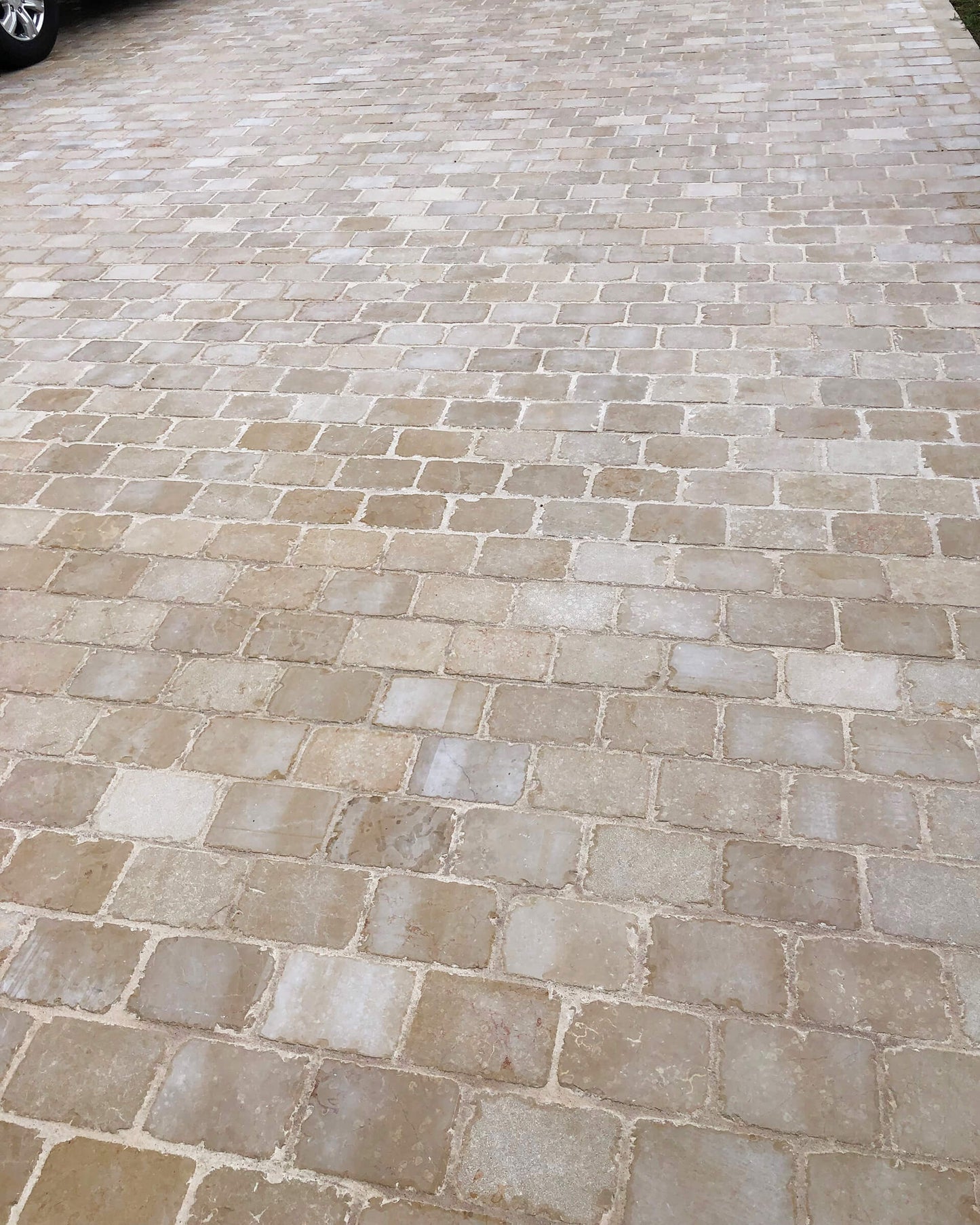 Pavé en pierre calcaire ALMENDRA beige bords sciés - 14 x 14 - Photo réalisation