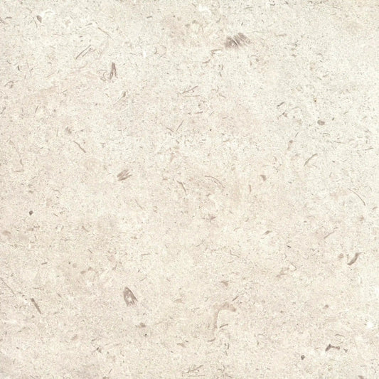 Carrelage extérieur effet pierre SHELLSTONE - 60 x 60 x 2 cm Minéral pierre naturelle