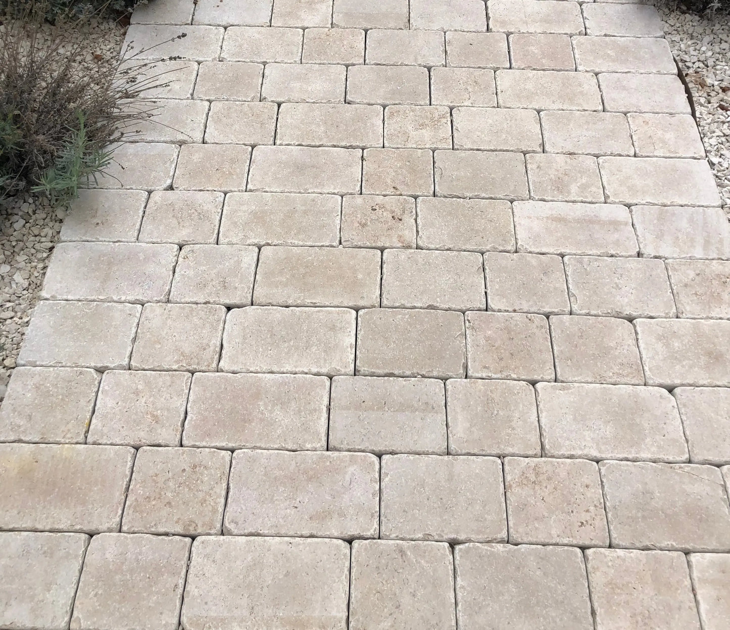 Pavé en pierre calcaire SINAI PEARL - Minéral Pierre Naturelle