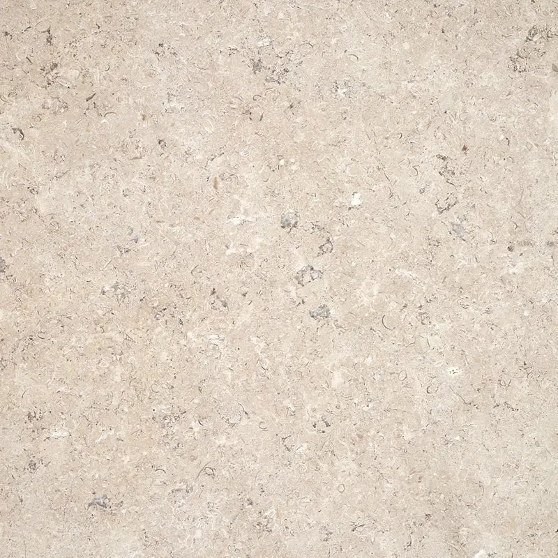Poolrandplatte Kalkstein SINAI PEARL - Dicke 6 bis 8 cm