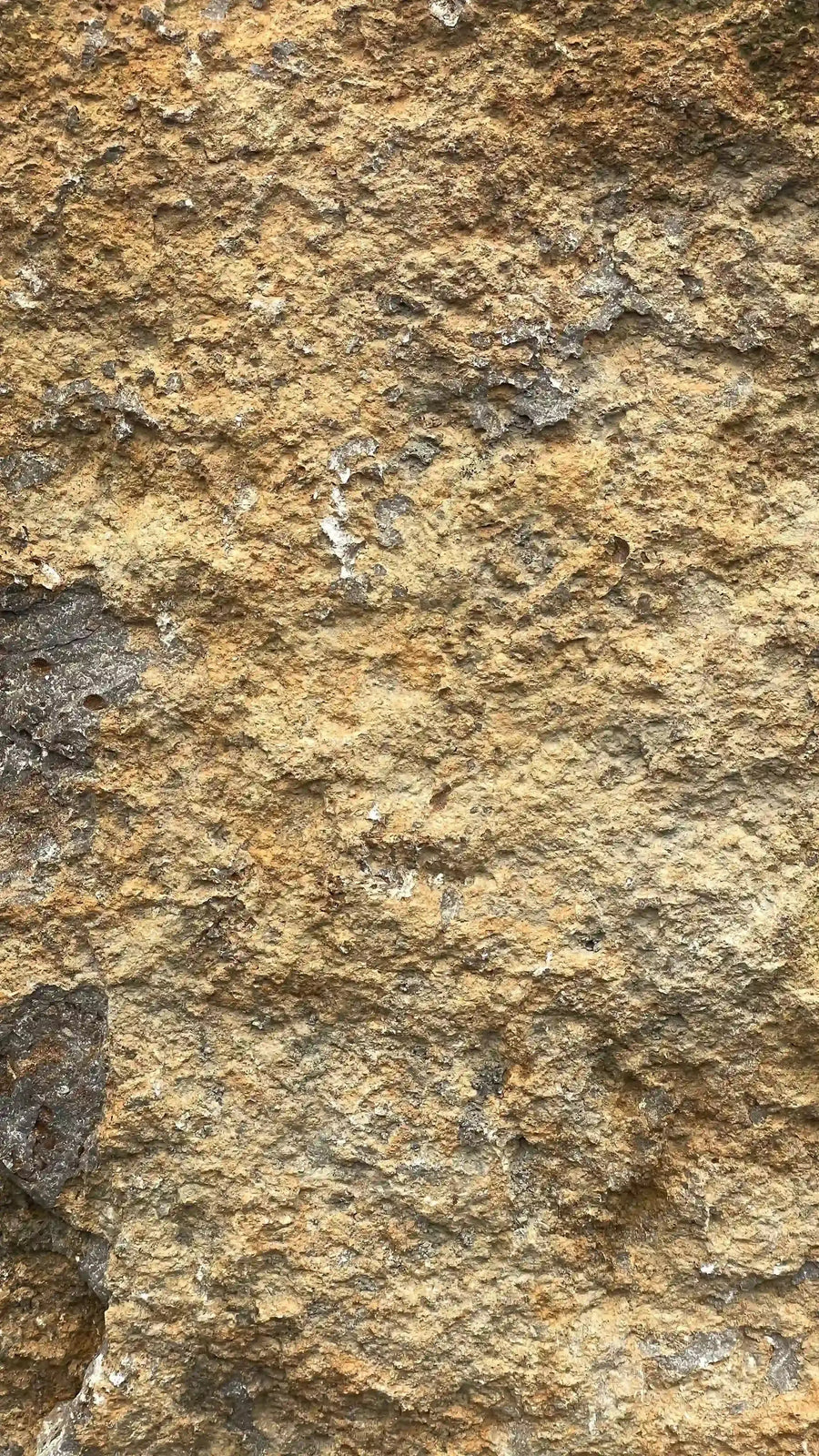 KIRCHHEIMER Limestone
