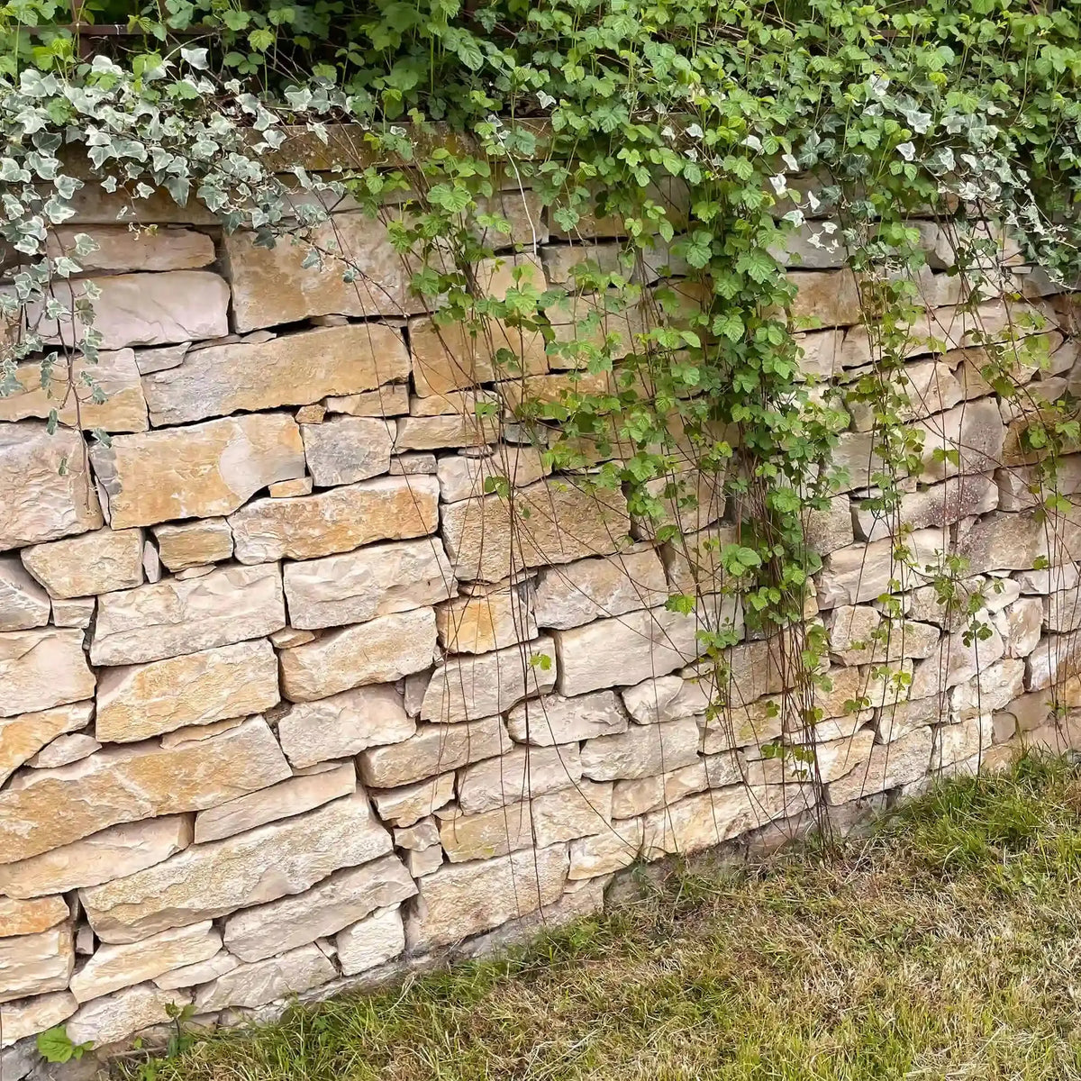 Moellon pour mur sec en PIERRE DE L'YONNE Minéral pierre naturelle