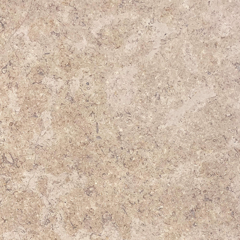 Bodenplatte Kalkstein SINAI PEARL geschliffen # 80x40x1.5 cm