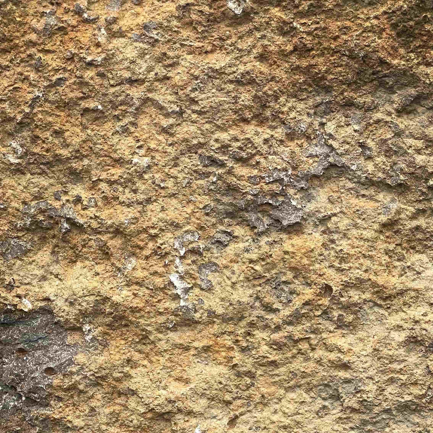 Kruste Kalkstein KIRCHHEIMER