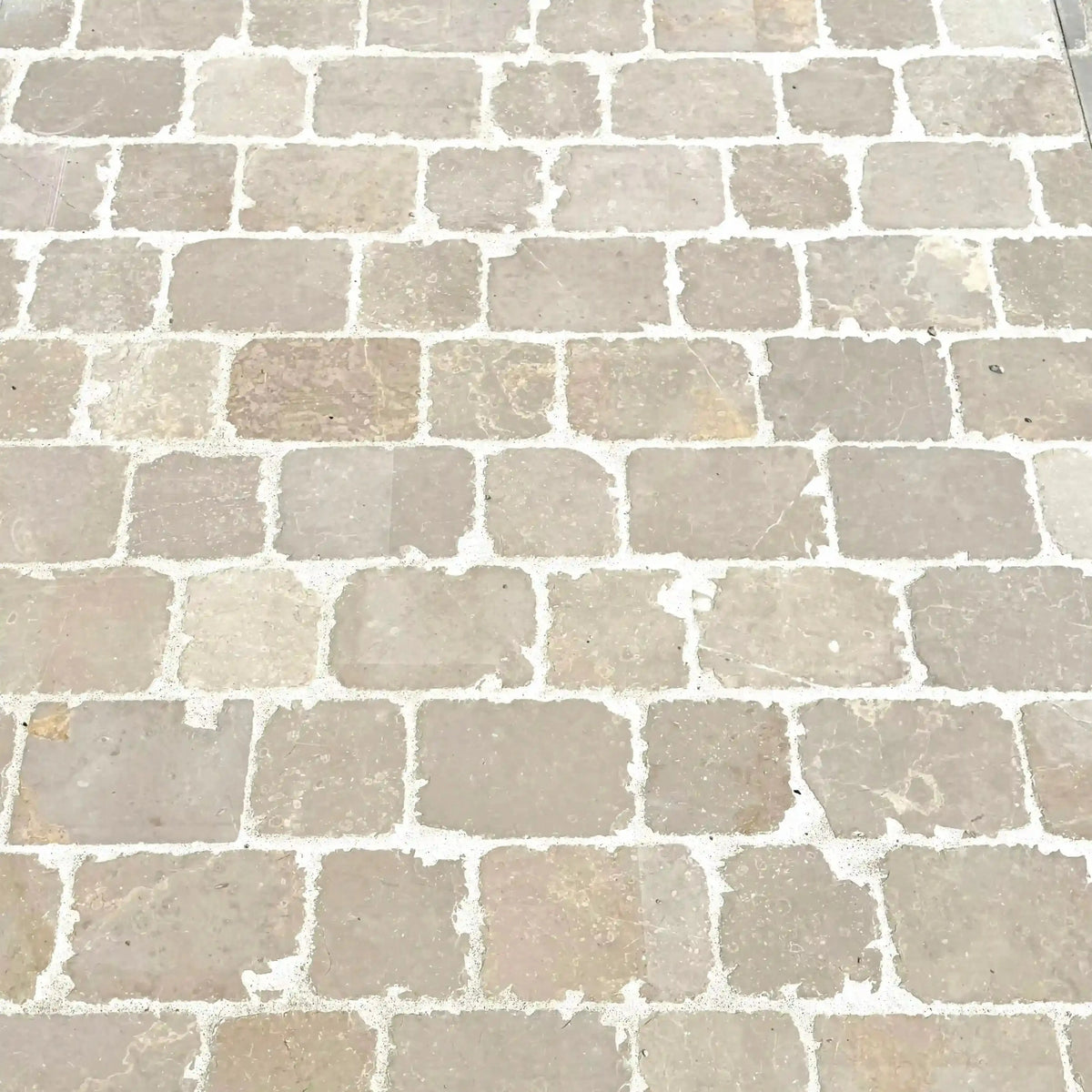 Pavé en pierre calcaire ALMENDRA BEIGE Minéral pierre naturelle