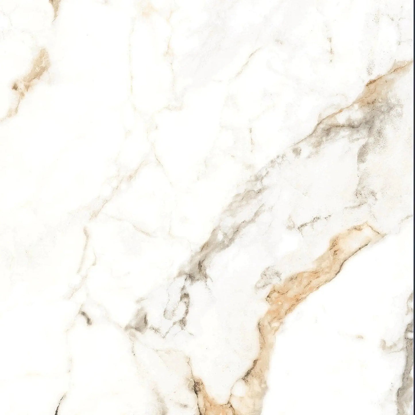 Carrelage effet marbre HOLLAND ICE  - 80 x 80 cm