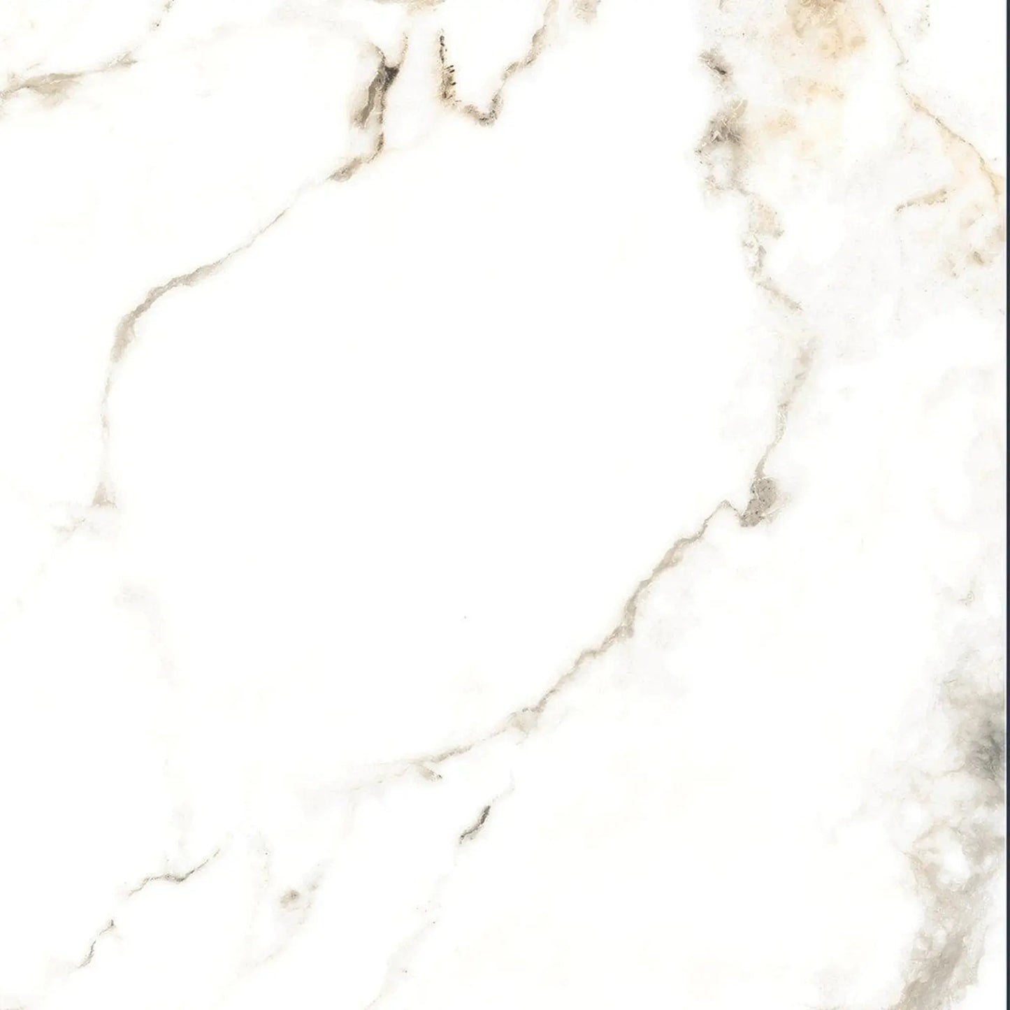 Carrelage effet marbre HOLLAND ICE  - 80 x 80 cm