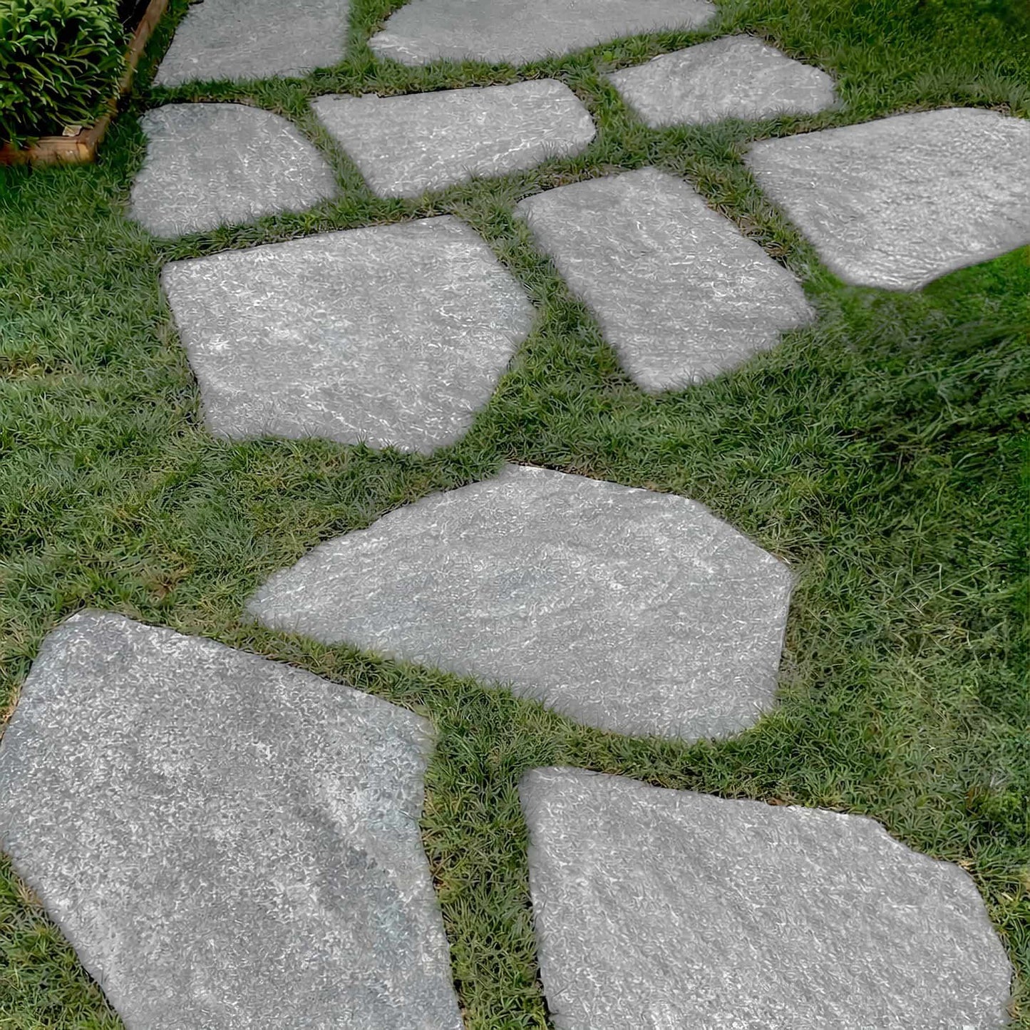 Trittstein QUARTZITE ADRIATICO - forme naturelle Minéral Naturstein
