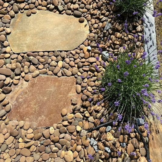 Mehrfarbige Schiefertrittsteine