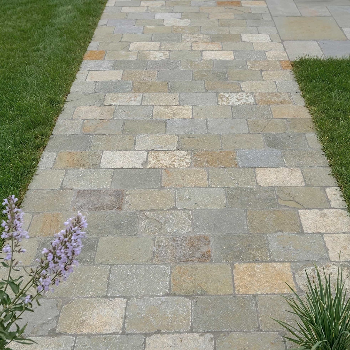 Pavé en pierre calcaire LIMA BEIGE Minéral pierre naturelle