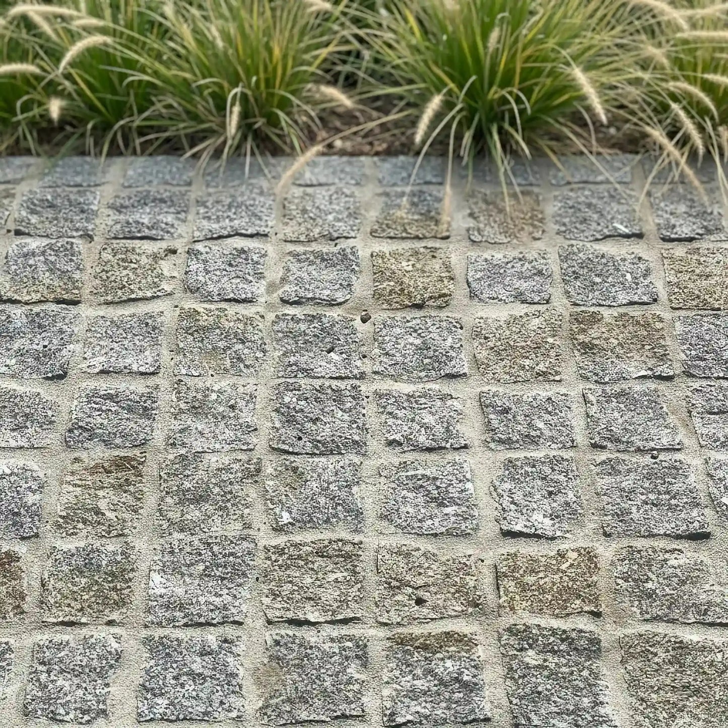 Pflaster Granit MIX grau JAUNE naturel Minéral Naturstein