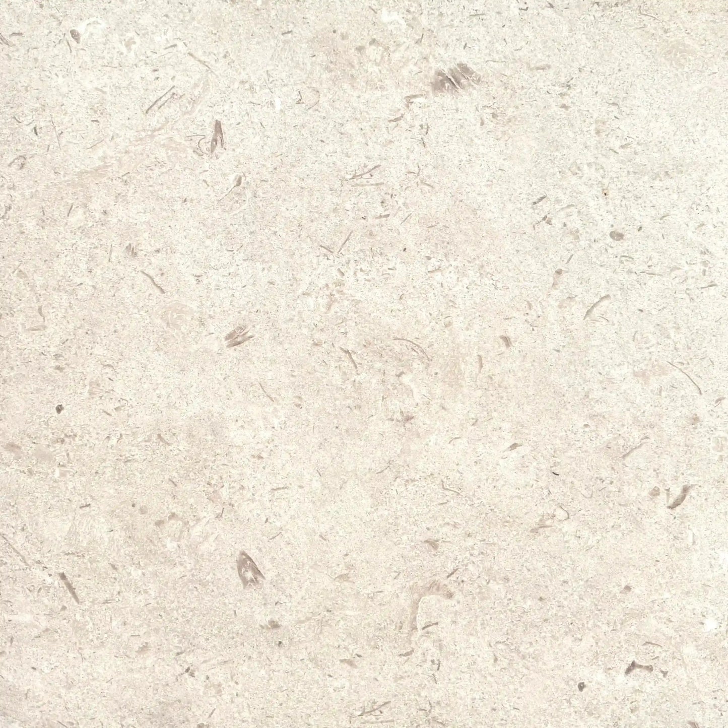 Carrelage extérieur effet pierre SHELLSTONE  - 60 x 60 x 2 cm Minéral pierre naturelle